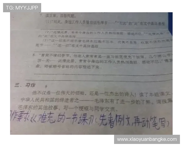 校园班级体育联赛征文（校园联赛作文）sports